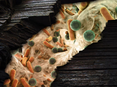 Healthy microbes for Healthy life farming