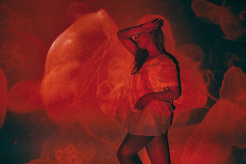 Image by Dmitry Berdnyk