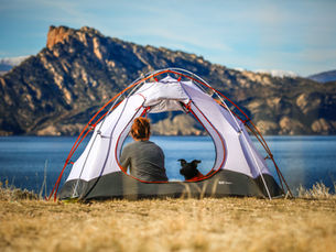 Camping With Dogs 