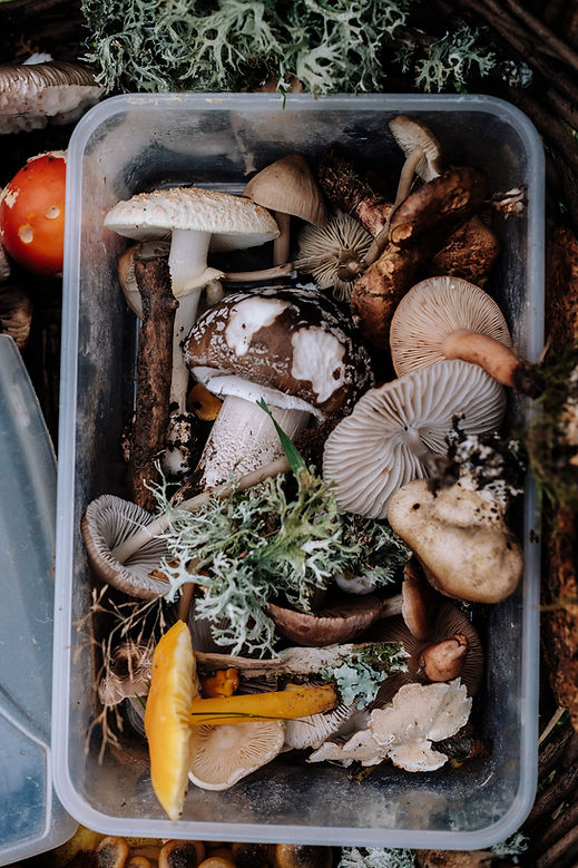 Image by Annie Spratt