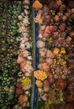 Defining the Seasons: tales of disinformation