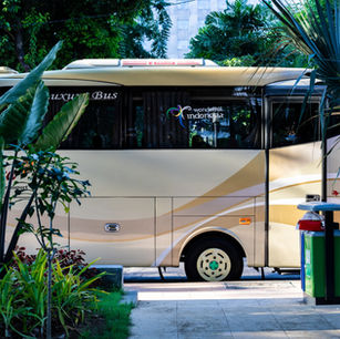 Car & Coach Rentals