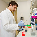Image by National Cancer Institute