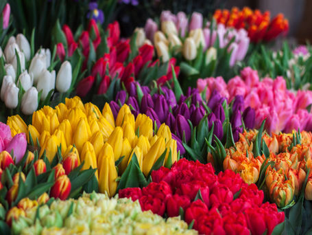 Mothering Sunday