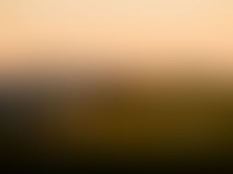 Last Chance to Pass CFA Sustainable Investing Certificate in 2025: 6-Week Study Plan & Fast-Track Tips