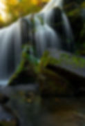 Image by Nathan Anderson