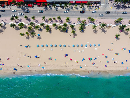 Florida Just Made It Harder to Change the Law—Why Medical Cannabis Patients Should Pay Attention 🌿⚖️