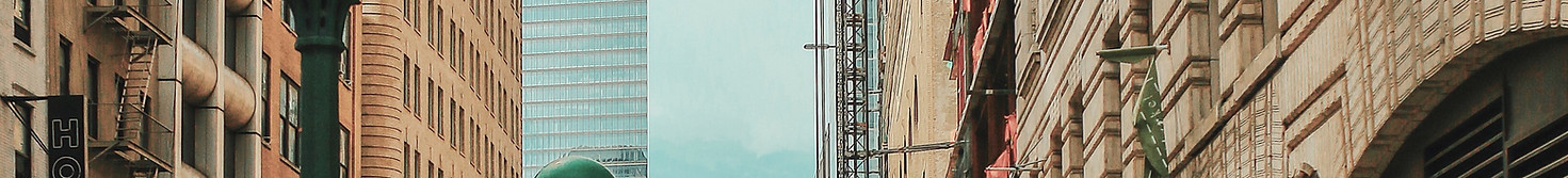 Image by Renan Kamikoga