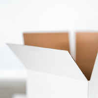 Image by Kelli McClintock