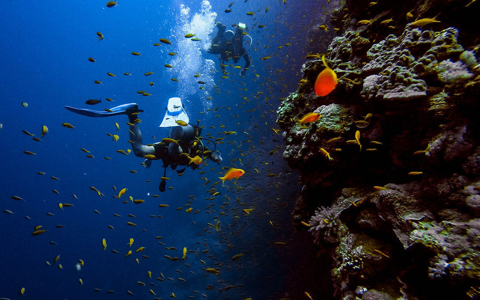 Red Sea Safari Liveaboard Sahl Hasheesh