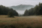 Meadow in the Smoky Mountains