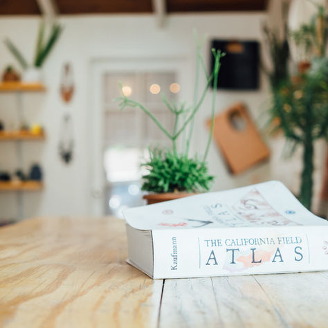 COOL AND CALM CALIFORNIA CASUAL INTERIOR DESIGN