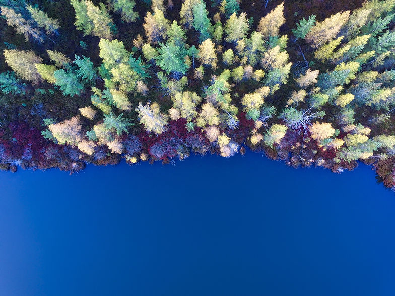 Image by Aaron Burden