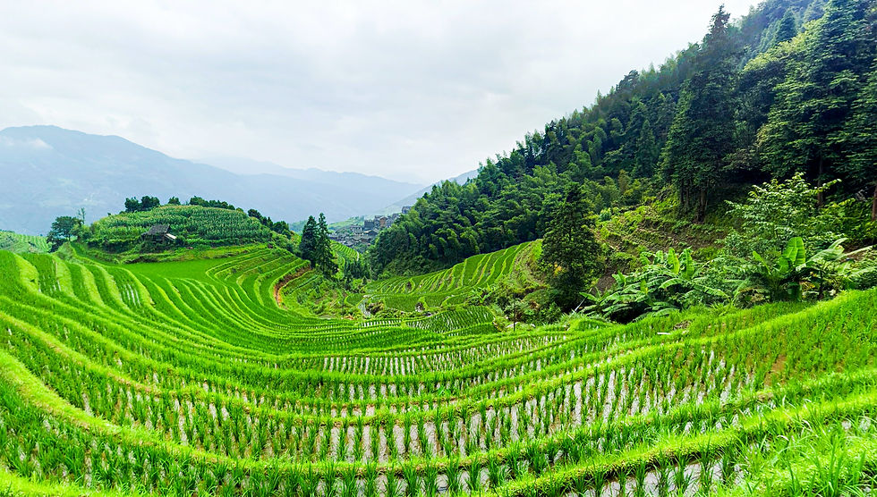 Hình thu nhỏ: HÀNH LANG CON ĐƯỜNG TƠ LỤA MÙA THU