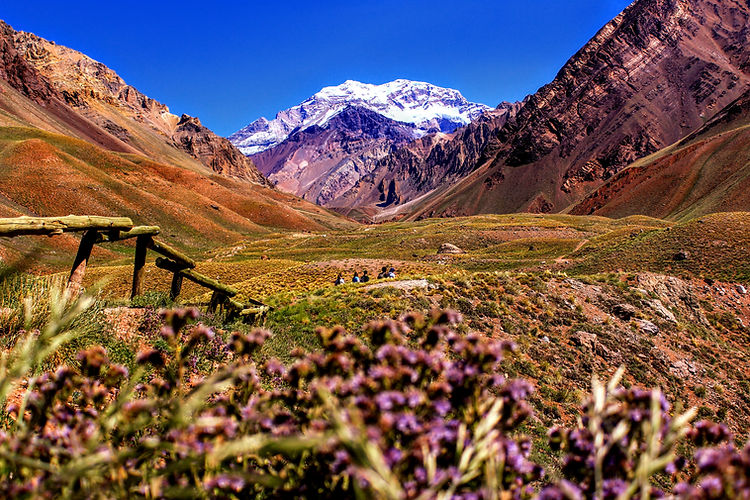 Image by Nicolas Perez