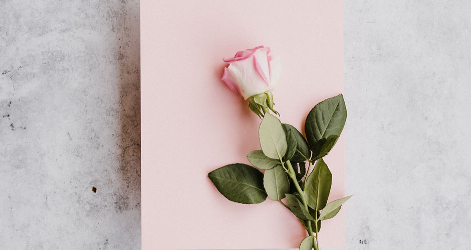 Image by Annie Spratt