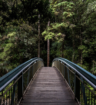 Image by Tim Swaan