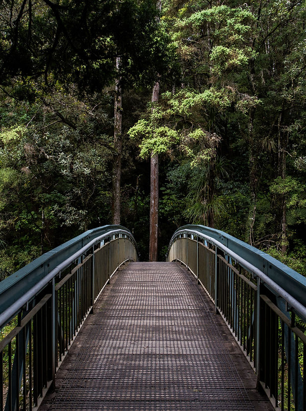 Image by Tim Swaan