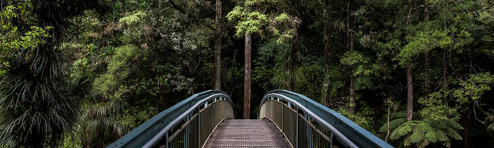 Image by Tim Swaan