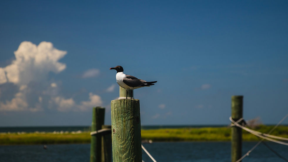 Manteo, NC
