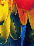 Image de James Lee