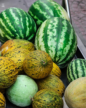 Various Melons