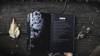 Caribbean Poets To Check Out!