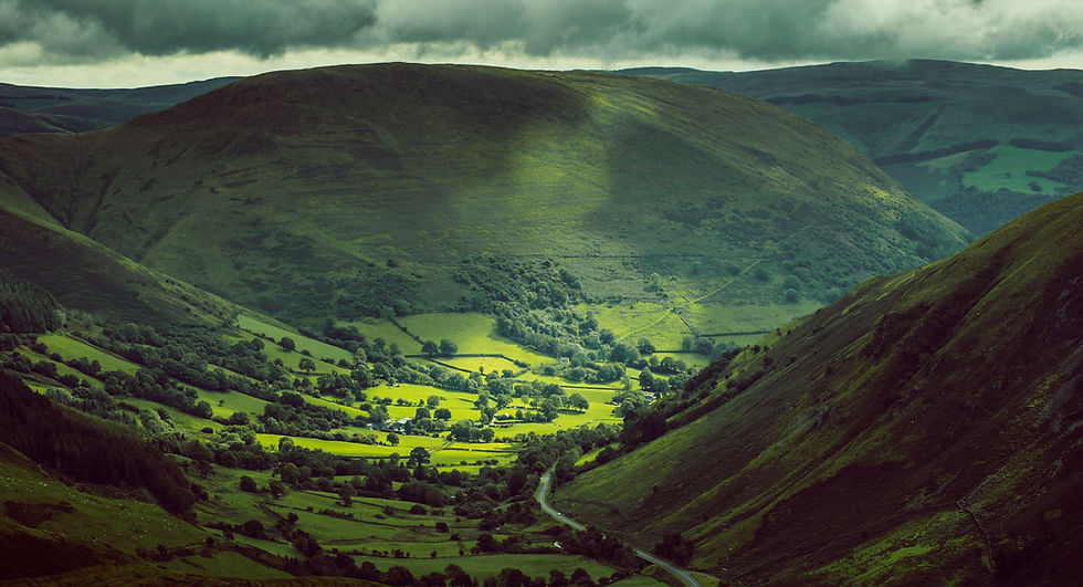 Image by Joseph Reeder