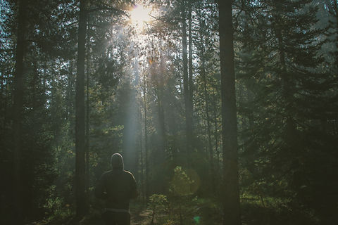 Image by Dustin Scarpitti