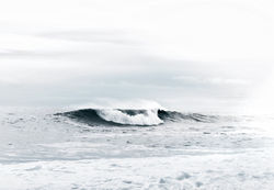 Image by Tyler Lastovich