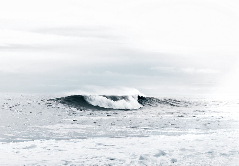 Image by Tyler Lastovich