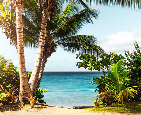 Image by Matthew Brodeur