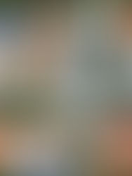 Navigating the 2024 Real Estate Landscape: A Balance of Challenges and Opportunities