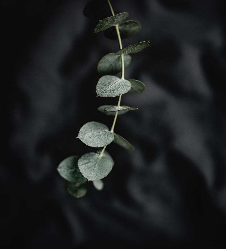 Image by Annie Spratt