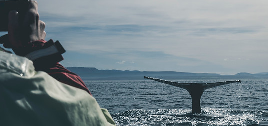 Image de Davide Cantelli