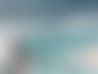 Auction Tactics Every North Shore Buyer Should Know (But Most Don’t)