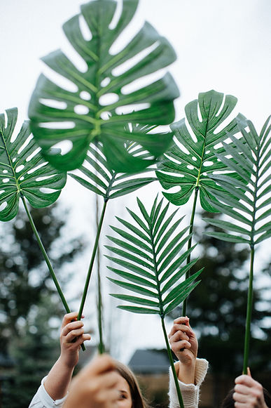 Image by Avel Chuklanov