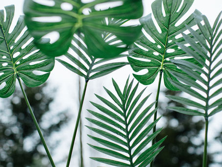 Is Green a Fad or the Future