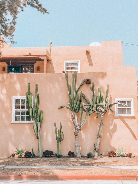 Image by Viviana Rishe