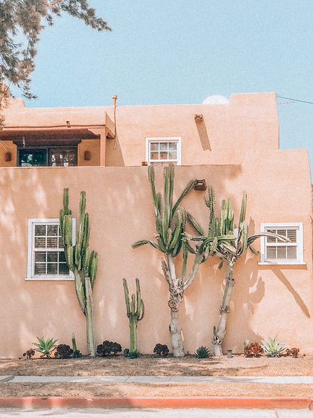 Image by Viviana Rishe