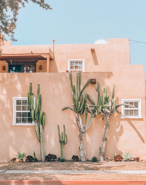 Image by Viviana Rishe