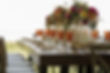 party rentals