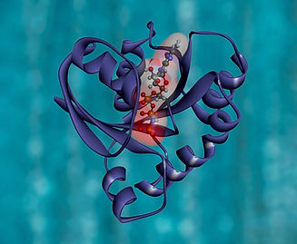 Image by National Cancer Institute