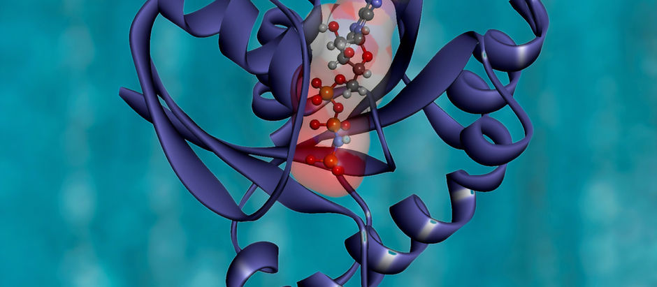 The Central Dogma & Why Genomics Matters