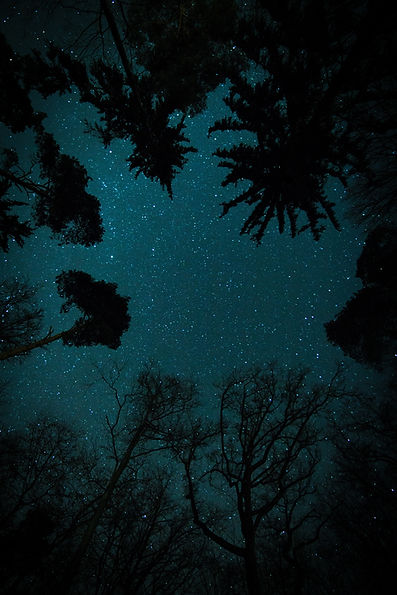 Image by Max Saeling