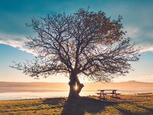 Parashat Vaetchanan—Shabat Nachamu: Consolation After Anguish