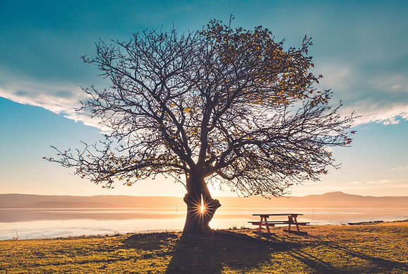 Therapist & Mindfulness Meditation Teacher Devin Maroney LCSW Bethesda, Maryland