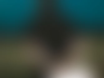 Coach in black, holding a whiteboard with play diagrams, stands on a football field under a dusky sky. Text: "SCHEELS" in red.