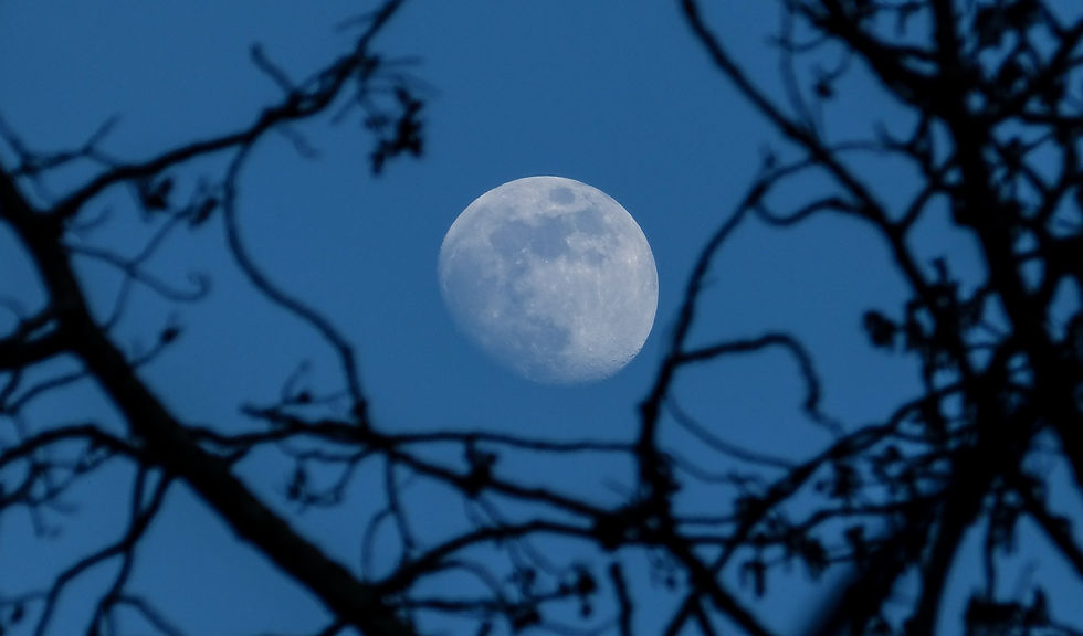 Creating with the Moon. A guide to working with the Moon's cycles.