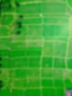 The Great Unlock: Tokenisation of Land to Unleash India’s Dormant Wealth